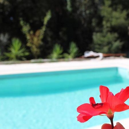 Bosque Dos Amieiros Villa Marco de Canavezes Екстериор снимка