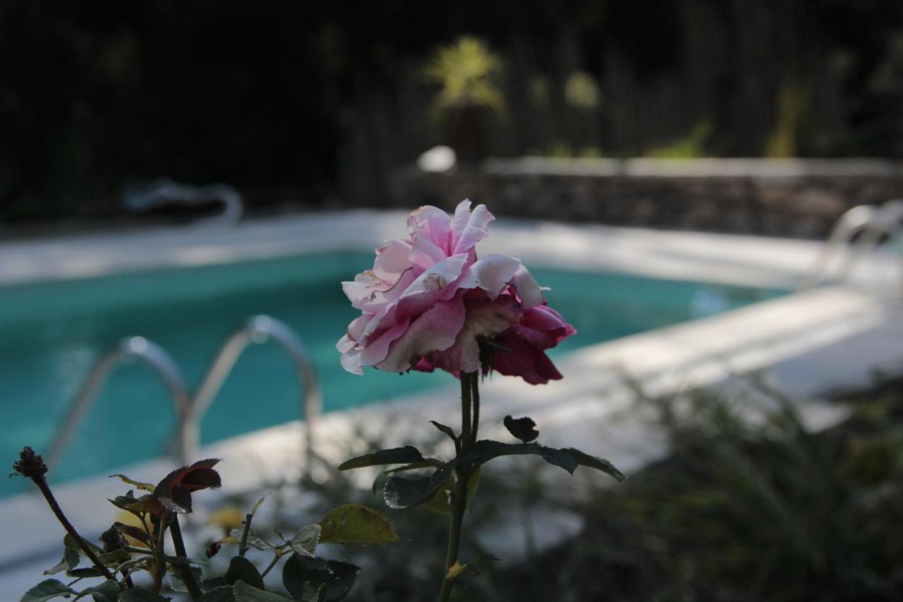 Bosque Dos Amieiros Villa Marco de Canavezes Екстериор снимка