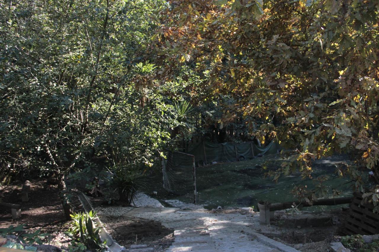 Bosque Dos Amieiros Villa Marco de Canavezes Екстериор снимка